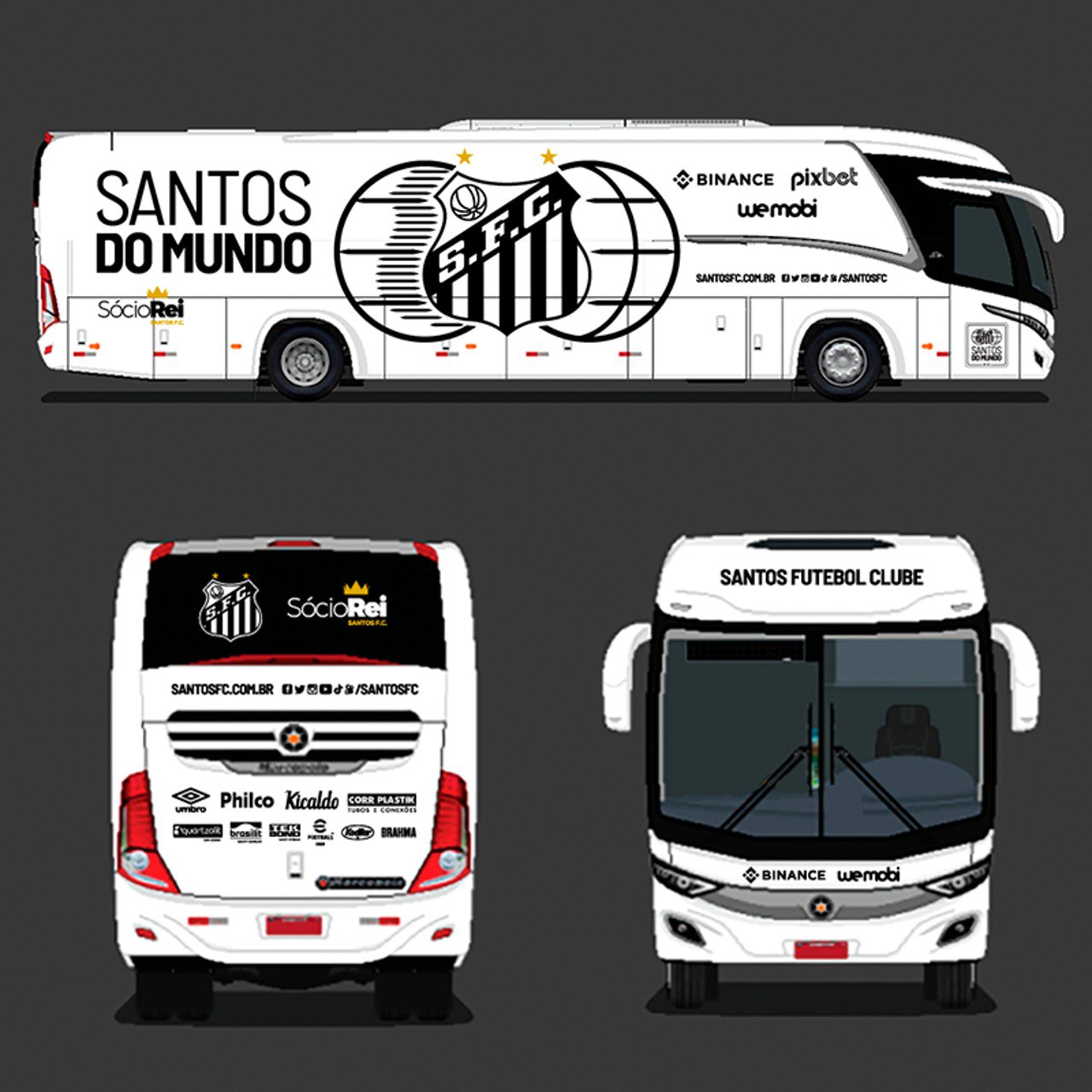 What is the Santos FC Fan Token (SANTOS)?