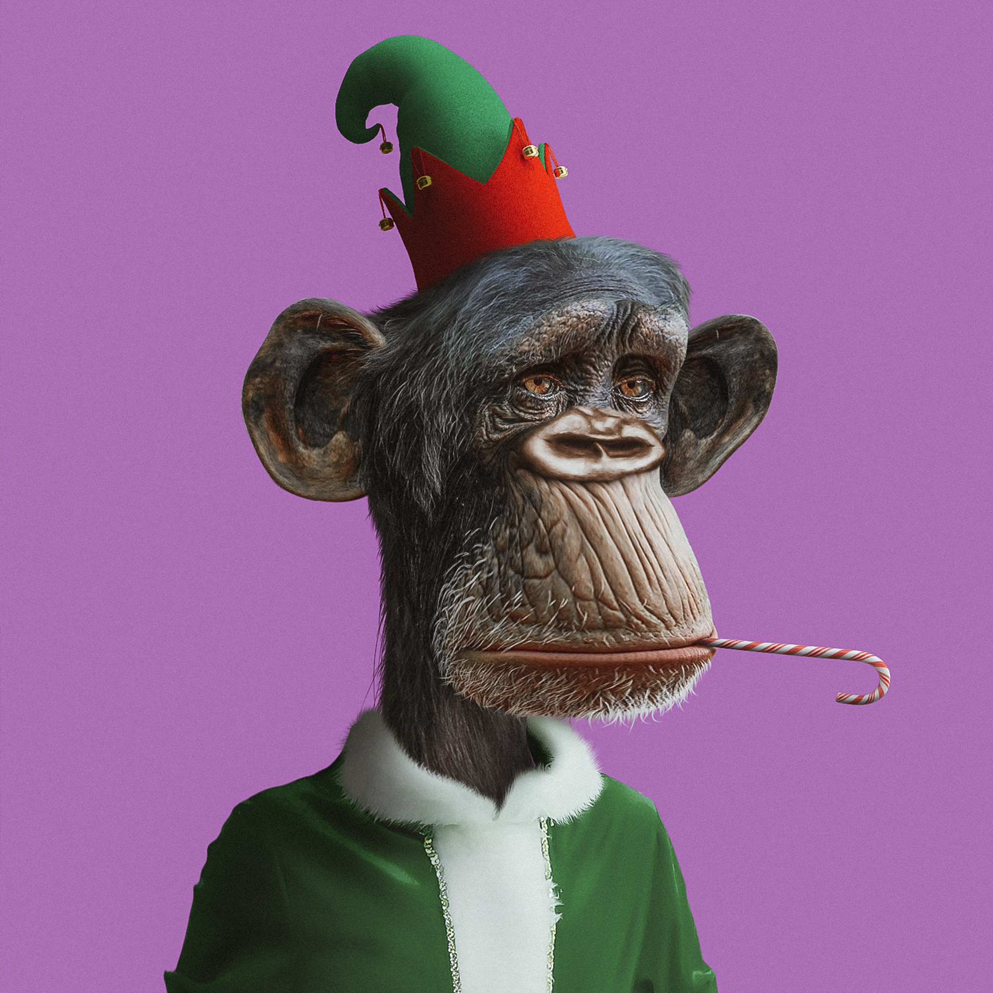 BORED APE #711▵ 40╳55 ▵NFT PRIDE 