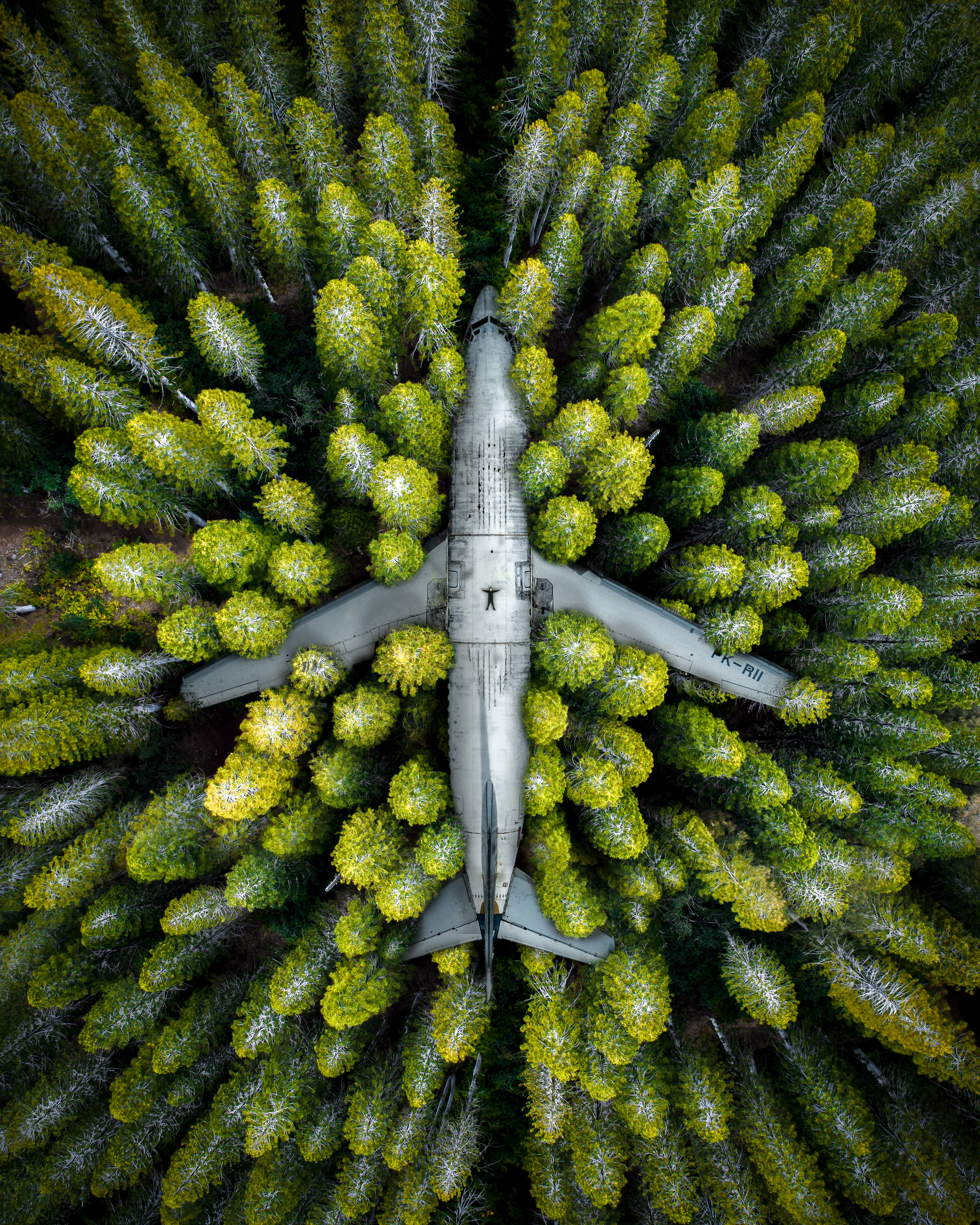 Hidden in Plane Sight 01: Forest