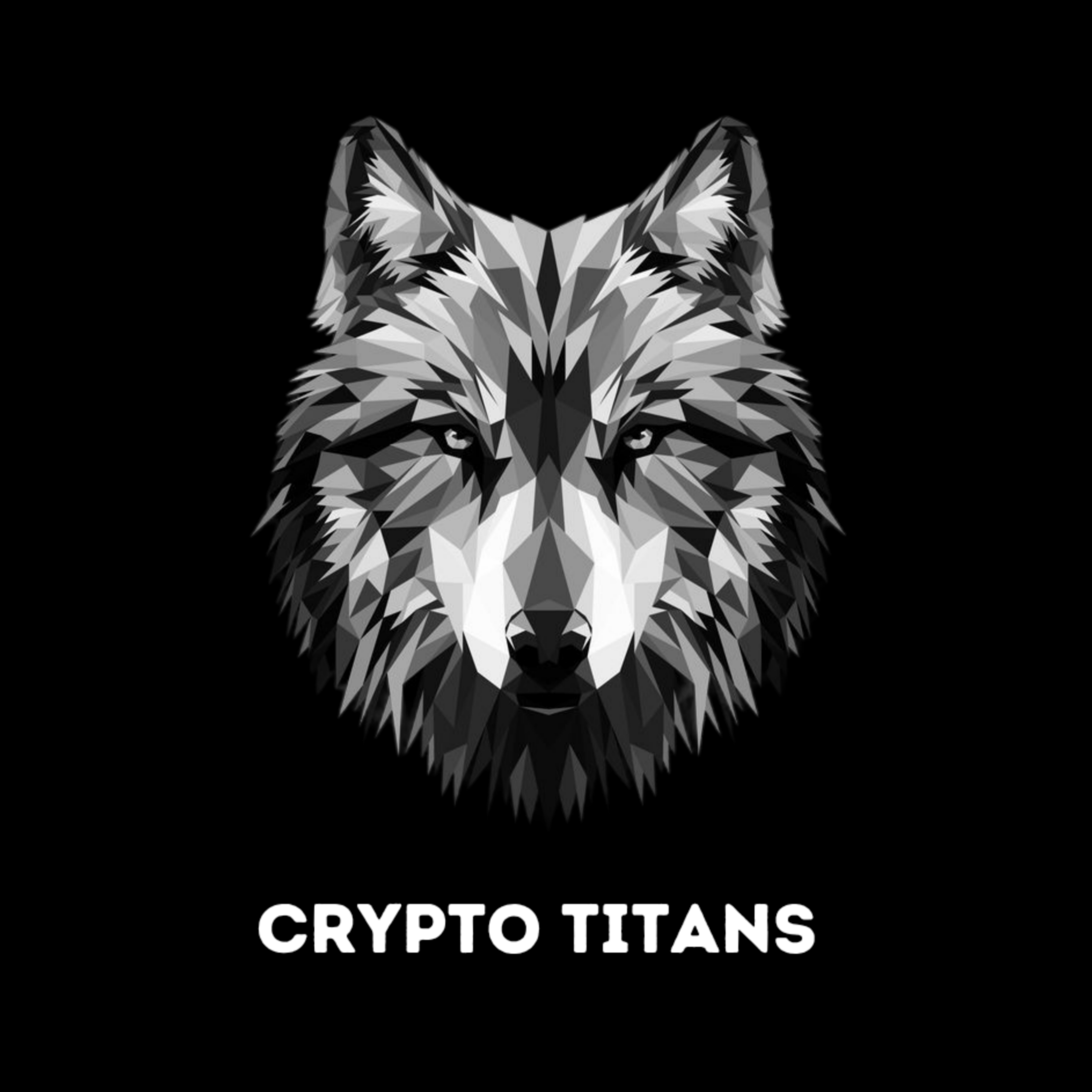 Avatar for CryptoTiTans1