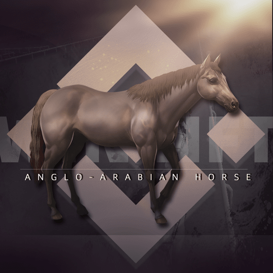 tail bolsas for horses